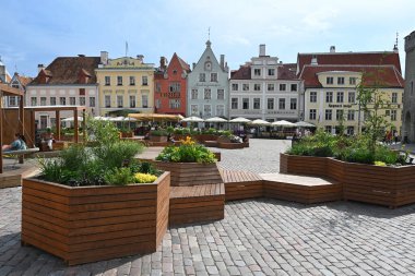 Tallinn, Estonya - 24 Temmuz 2024: Tallinn 'de Belediye Binası Meydanı (Raekoda plakaları).