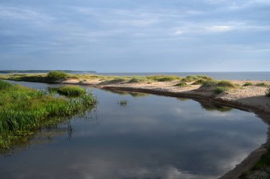 Riga Körfezi 'nde kumlu plajlar ve paralel tepeler. Letonya 'nın Riga Körfezi kıyısındaki sahil kum tepeleri 