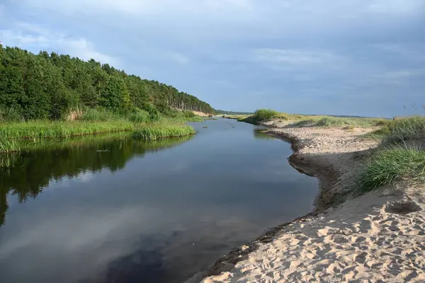 Riga Körfezi 'nde kumlu plajlar ve paralel tepeler. Letonya 'nın Riga Körfezi kıyısındaki sahil kum tepeleri 