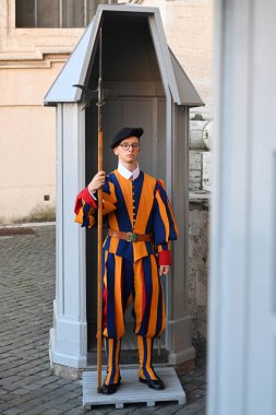 Vatikan - 2 Kasım 2024: Bir Papalık İsviçreli Muhafız Vatikan 'daki Aziz Peter Bazilikası' nın girişinde nöbet tutuyor.