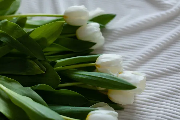 Egy Csomó Fehér Tulipán Egy Fehér Takarón Egy Csokor Tulipán Jogdíjmentes Stock Képek