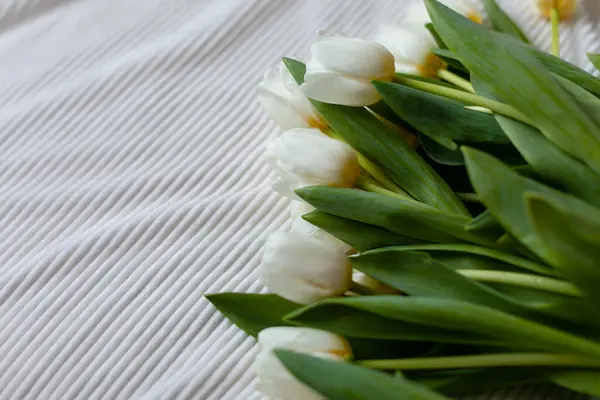 Egy Csomó Fehér Tulipán Egy Fehér Takarón Egy Csokor Tulipán Stock Kép