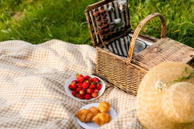Güneşli bir günde yaz bahçesinde ayçöreği, çilek ve çiçeklerle kahvaltı pikniği. Piknik, yemek, brunch, yaz havası.