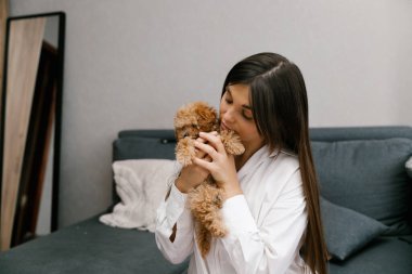 Uzun saçlı beyaz gömlekli bir kadın bir Maltipoo köpeğiyle oynuyor. Kadın küçük evcil hayvanını yüzüne yakın bir yerde tutuyor. Yaşam tarzı kavramı.