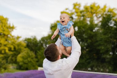 Beyaz etekli bir baba, küçük kızını lavanta tarlasında mavi bir elbiseyle kaldırıyor. Sakallı bir adam lavanta tarlasında bebek kaldırıyor..