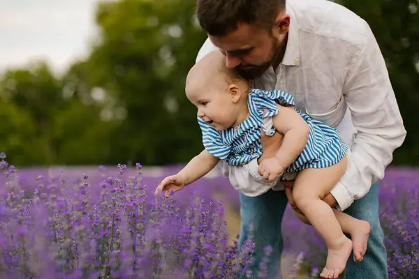 Bir baba lavanta tarlasında bebek bir lavanta çiçeğini tutuyor ve gösteriyor. Babasının kollarındaki küçük bir bebek tarladaki lavanta çiçeğine dokunuyor. Bebek dünyayı keşfediyor.