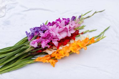 Beyaz arka planda büyük bir buket renkli çiçek. Beyaz arkaplanda çok renkli gladioli.