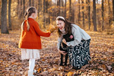 Gri kazak giyen kadın ve örgülü kızı sonbahar ormanında köpekle oynuyorlar. Siyah köpek ön planda..