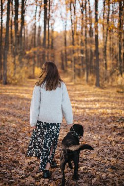 Gri kazaklı ve siyah uzun etekli siyah saçlı bir kadın sonbahar ormanında siyah bir köpekle yürüyor. Arka plan. 