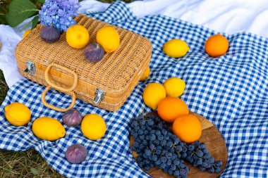 Mavi kareli masa örtüsüyle beyaz bir piknik sahnesi, narin bir ortanca, dokunmuş bir saman bavulu ve limon, portakal, incir ve taze üzümler içeren canlı meyveler.. 