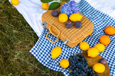 Mavi kareli masa örtüsüyle beyaz bir piknik sahnesi, narin bir ortanca, dokunmuş bir saman bavulu ve limon, portakal, incir ve taze üzümler içeren canlı meyveler.. 