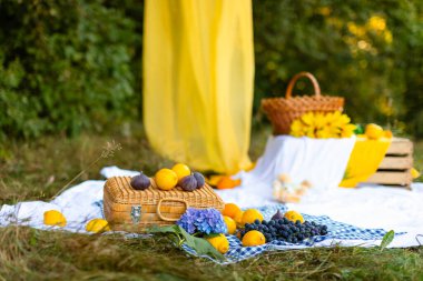 Mavi bir masa örtüsü, ortanca, saman bavulu ve limon, incir ve üzüm gibi meyvelerle beyaz bir battaniyede piknik, bir daldan sarkan sarı bir kumaşın rüzgarda sallandığı bir ormanda.. 