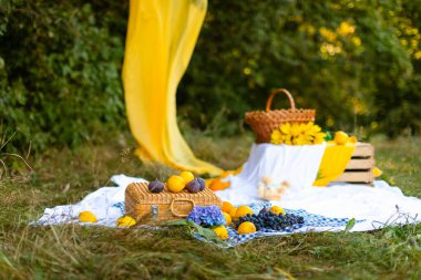 Mavi bir masa örtüsü, ortanca, saman bavulu ve limon, incir ve üzüm gibi meyvelerle beyaz bir battaniyede piknik, bir daldan sarkan sarı bir kumaşın rüzgarda sallandığı bir ormanda.. 