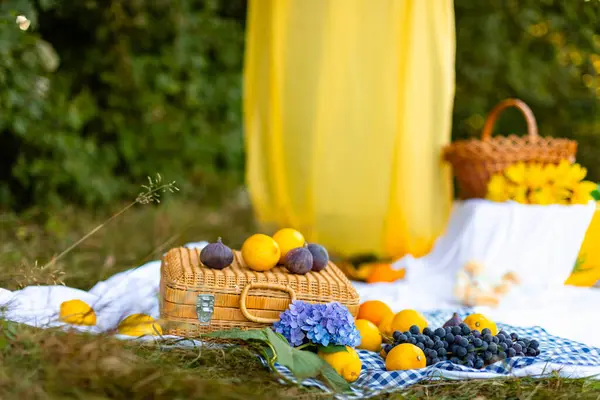 Mavi bir masa örtüsü, ortanca, saman bavulu ve limon, incir ve üzüm gibi meyvelerle beyaz bir battaniyede piknik, bir daldan sarkan sarı bir kumaşın rüzgarda sallandığı bir ormanda.. 
