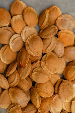 Top view of dried apricot kernels or seeds scattered on grey background. Natural organic nuts macro photography showing texture and details of apricot pits. clipart