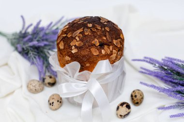Geleneksel Paskalya ekmeği (kulich) üzerine beyaz parşömen kağıdına sarılı beyaz parşömen kurdelesi, yanında bıldırcın yumurtası ve mor lavanta filizi serpiştirilmiş açık kumaş arka plan..