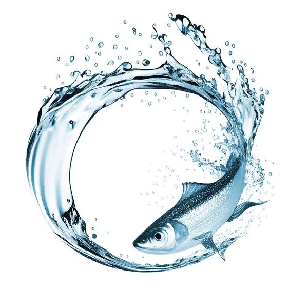 Fish Swimming Leaving Circular Water Splash Trail Suitable Logo Design Stock Picture