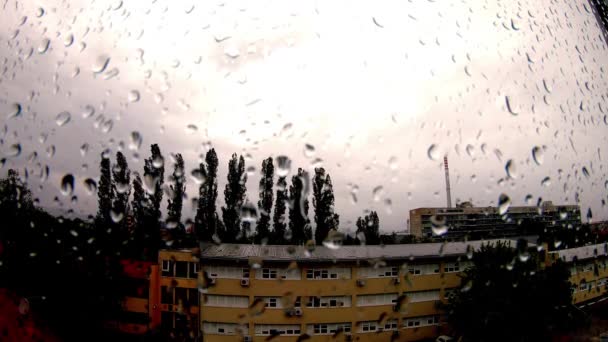 Heavy Rain Raindrops Window — Videoclip de stoc