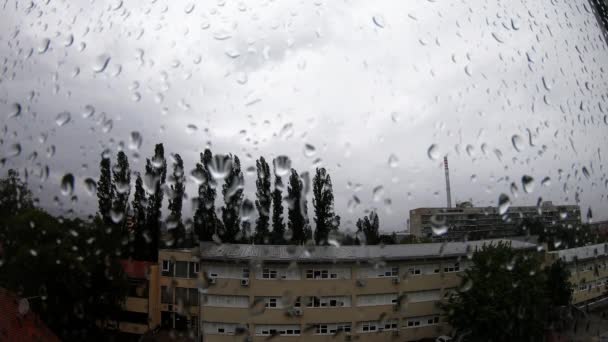 Heavy Rain Raindrops Window — Stok Video