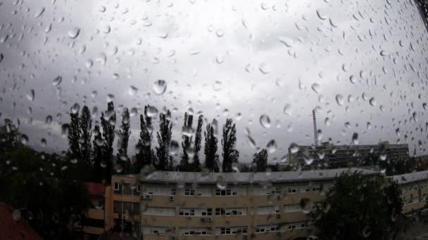 Heavy Rain Raindrops Window — Αρχείο Βίντεο