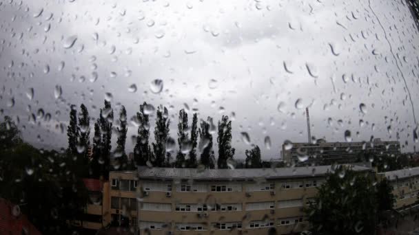 Heavy Rain Raindrops Window — Video Stock