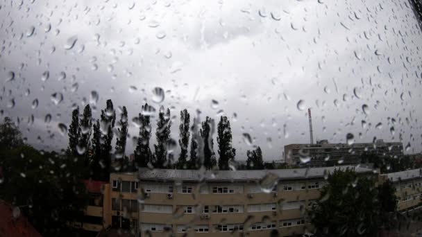 Heavy Rain Raindrops Window — стоковое видео