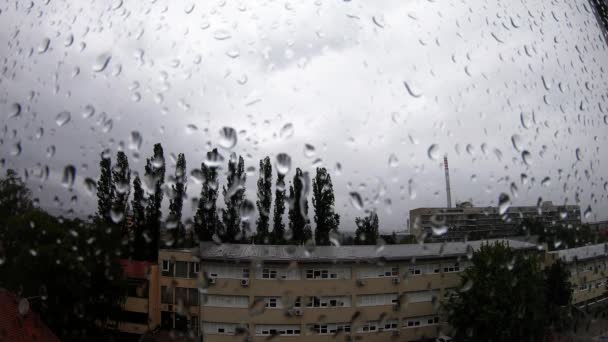 Heavy Rain Raindrops Window — Video Stock