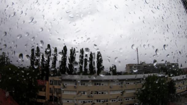 Heavy Rain Raindrops Window — Stockvideo