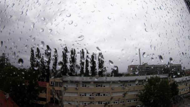 Heavy Rain Raindrops Window — Stockvideo