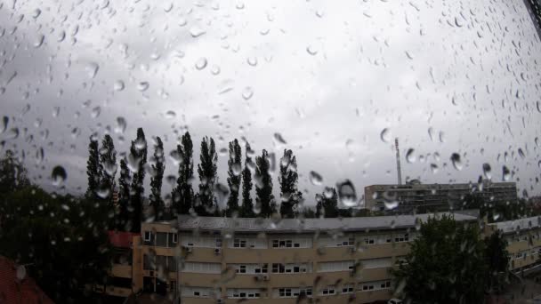 Heavy Rain Raindrops Window — Video