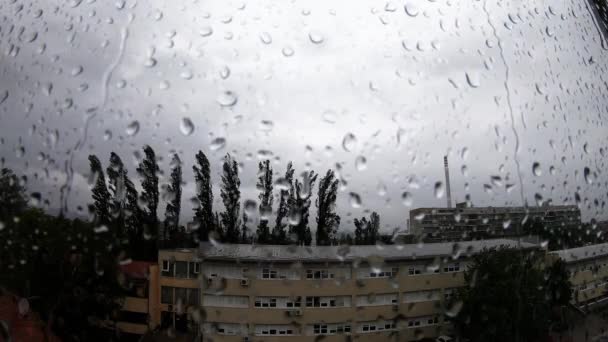 Heavy Rain Raindrops Window — ストック動画