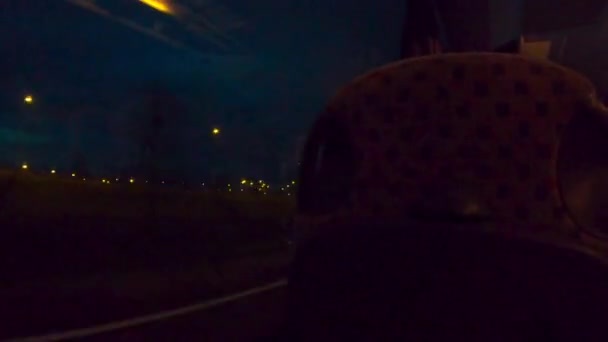Hırvatistan Kırsalında Gece Otobanda Otobüs Yolculuğu — Stok video