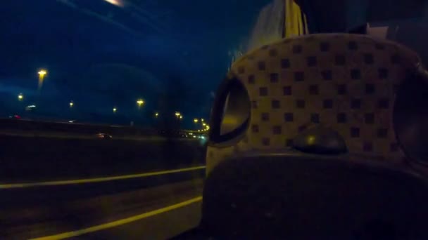 Busfahrt Auf Der Autobahn Durch Kroatien Der Nacht — Stockvideo