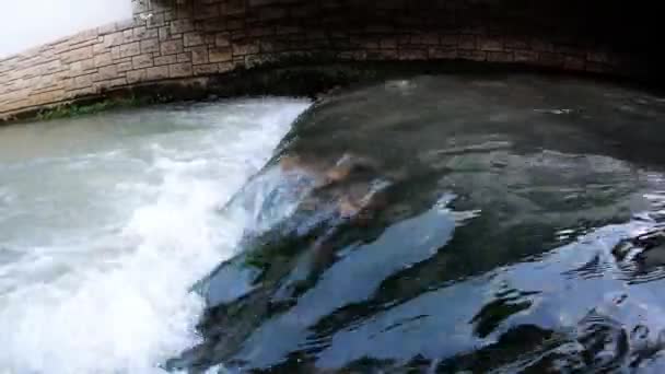 Onderwater Gaan Onder Kleine Snelle Waterval — Stockvideo