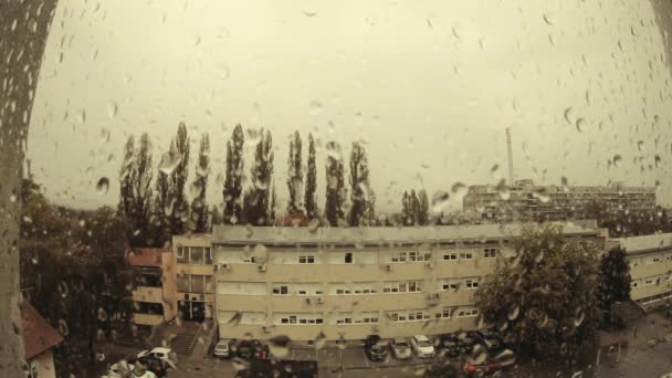 Regentropfen Auf Ein Fenster — Stockvideo