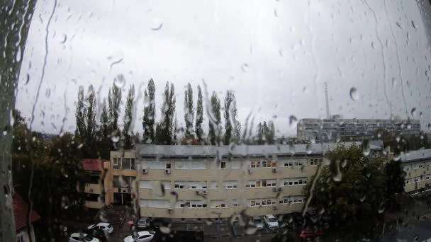 Σταγόνες Βροχής Ένα Παράθυρο — Αρχείο Βίντεο