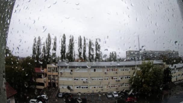 Regentropfen Auf Ein Fenster — Stockvideo