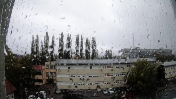 Ploaia Cade Fereastră — Videoclip de stoc