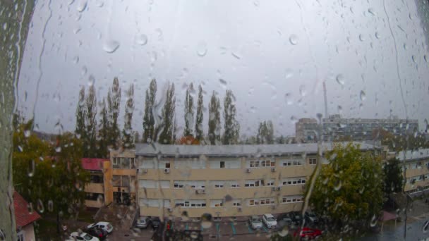 Regn Droppar Ett Fönster — Stockvideo