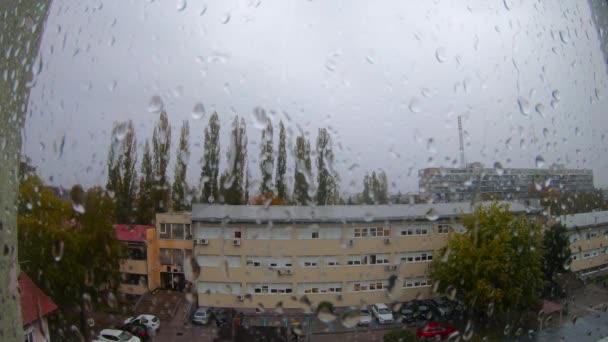 Rain Drops Window — Stock Video
