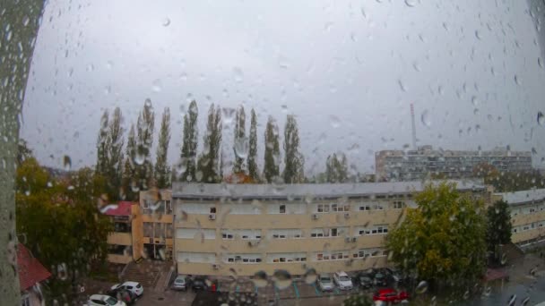 Rain Drops Window — Stock Video