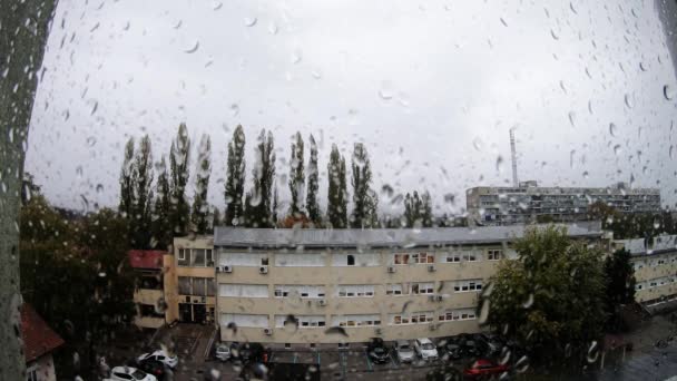雨が窓に降り — ストック動画