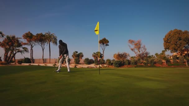 男人用棒打球 绿色高尔夫球场上的高尔夫 田野被棕榈树环绕着 伟大的观点 — 图库视频影像