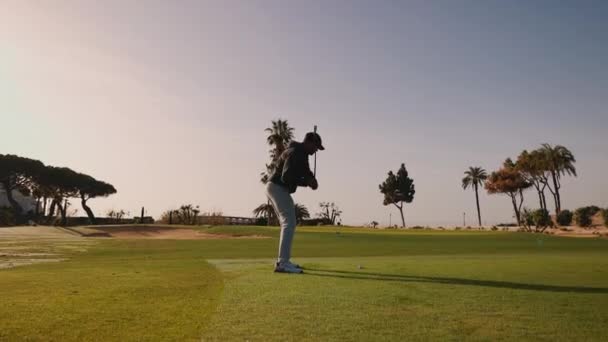 男は棒でボールを打つ グリーンゴルフコースでゴルフ 畑はヤシの木に囲まれています 素晴らしい眺め — ストック動画