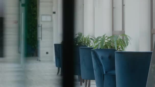 Interiør Hotel Hall Med Nogle Stole Planter Gennem Glasdøren – Stock-video