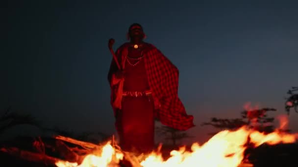 アフリカの部族から来た男は 火の近くに伝統的な服を着ている 伝統舞踊を踊る — ストック動画