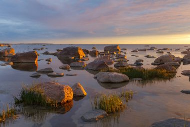 Rocky shore with stones sinking in the sea water. Sunset, orange light, Estonia. clipart