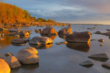 Rocky shore with stones sinking in the sea water. Sunset, orange light, Estonia. clipart