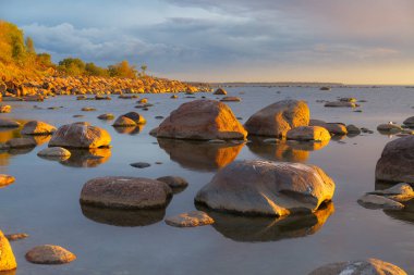 Deniz suyunda kayalıklar batıyor. Günbatımı, turuncu ışık, Estonya.