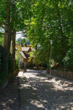 Eski asfalt yol yeşil ağaçların arasından eski kasabaya iniyor.